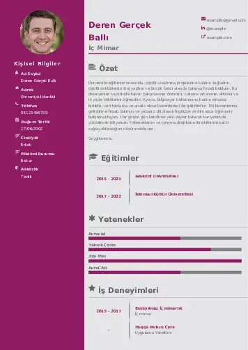 İç Mimar Cv Örnekleri cv indir